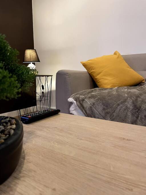 Villa Gaby ~ Jardinet ~ Hyper-Centre Pau Εξωτερικό φωτογραφία